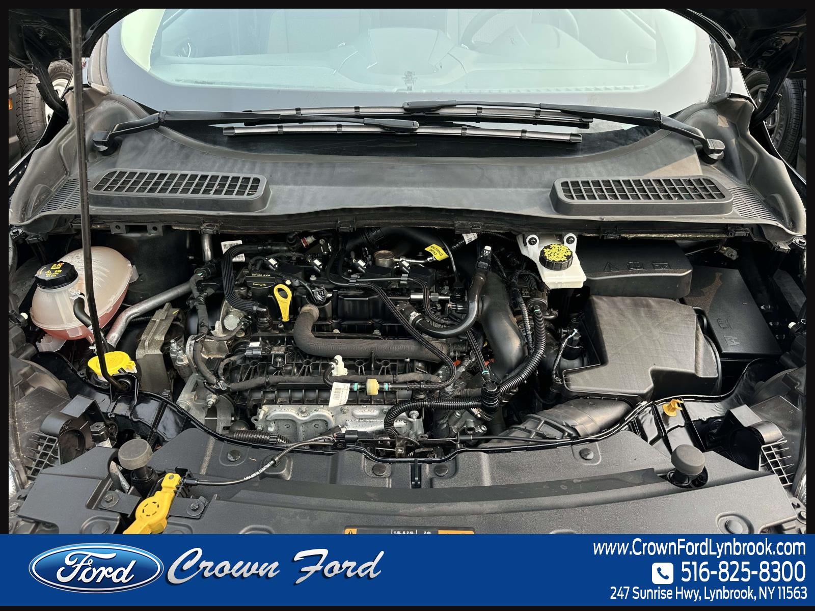 2019 Ford Escape SE 4WD