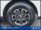 2024 Ford Expedition XLT 4x4