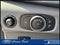 2024 Ford Transit Cargo Van T-250 130 Low Rf 9070 GVWR RWD