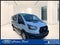2024 Ford Transit Cargo Van T-250 130 Low Rf 9070 GVWR RWD
