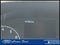 2025 Ford Transit Cargo Van T-250 130 Low Rf 9070 GVWR RWD