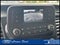 2024 Ford Transit Cargo Van T-250 130 Low Rf 9070 GVWR RWD