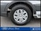 2024 Ford Transit Cargo Van T-250 130 Low Rf 9070 GVWR RWD