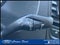 2025 Ford Transit Cargo Van T-250 130 Low Rf 9070 GVWR RWD