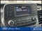 2024 Ford Transit Cargo Van T-250 130 Low Rf 9070 GVWR RWD