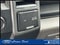 2019 Ford F-150 XLT 4WD SuperCrew 5.5' Box