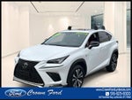 2019 Lexus NX NX 300 F SPORT AWD